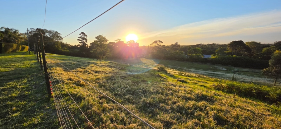 Commercial Property for Sale in Theescombe Eastern Cape